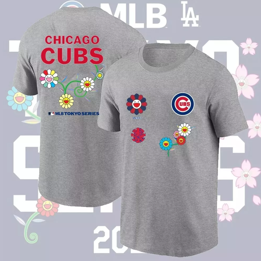 Men Chicago Cubs blank grey 2025 MLB T shirts style 2->mlb jacket->Sports Accessory